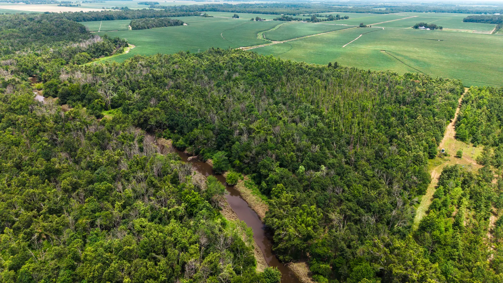Big Creek 70 – Wildlife Habitat Property with Live Water in West Carroll Parish, LA