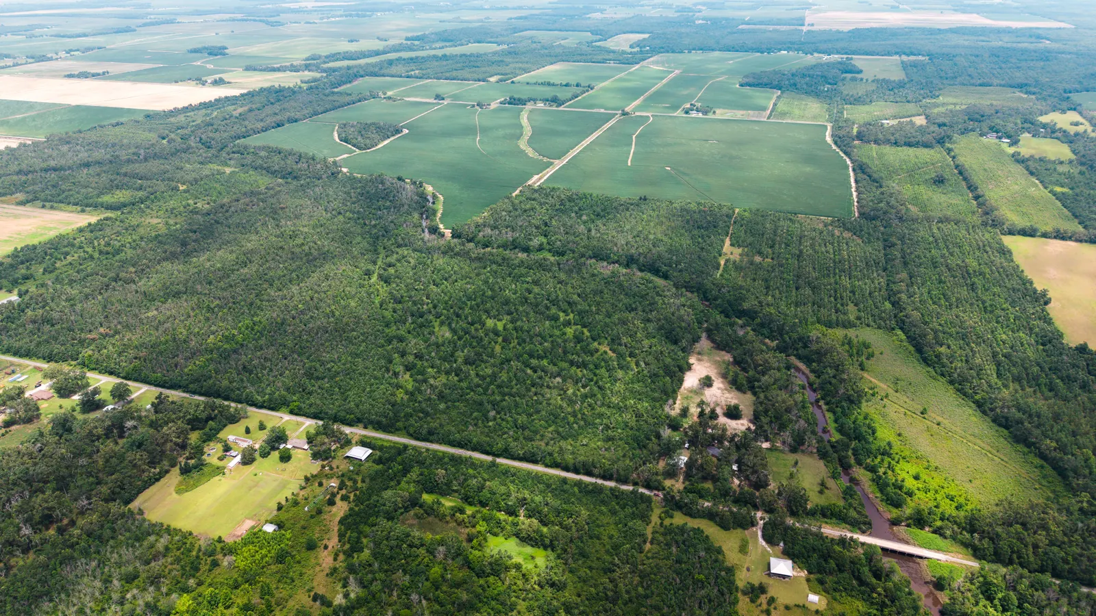 Big Creek 70 – Wildlife Habitat Property with Live Water in West Carroll Parish, LA