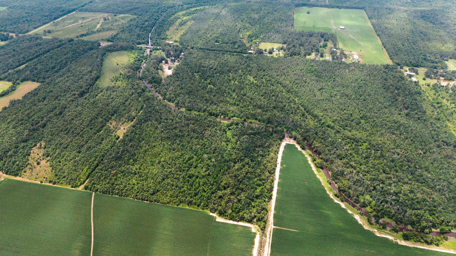 Big Creek 70 – Wildlife Habitat Property with Live Water in West Carroll Parish, LA