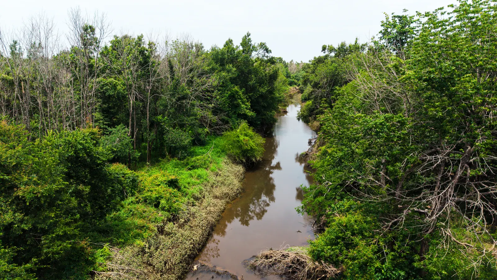 Big Creek 70 – Wildlife Habitat Property with Live Water in West Carroll Parish, LA