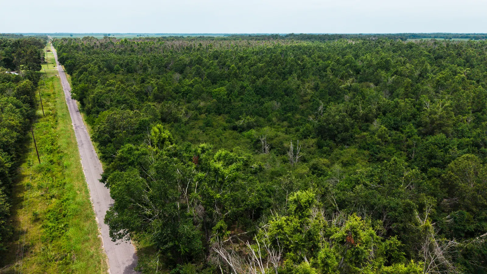 Big Creek 70 – Wildlife Habitat Property with Live Water in West Carroll Parish, LA