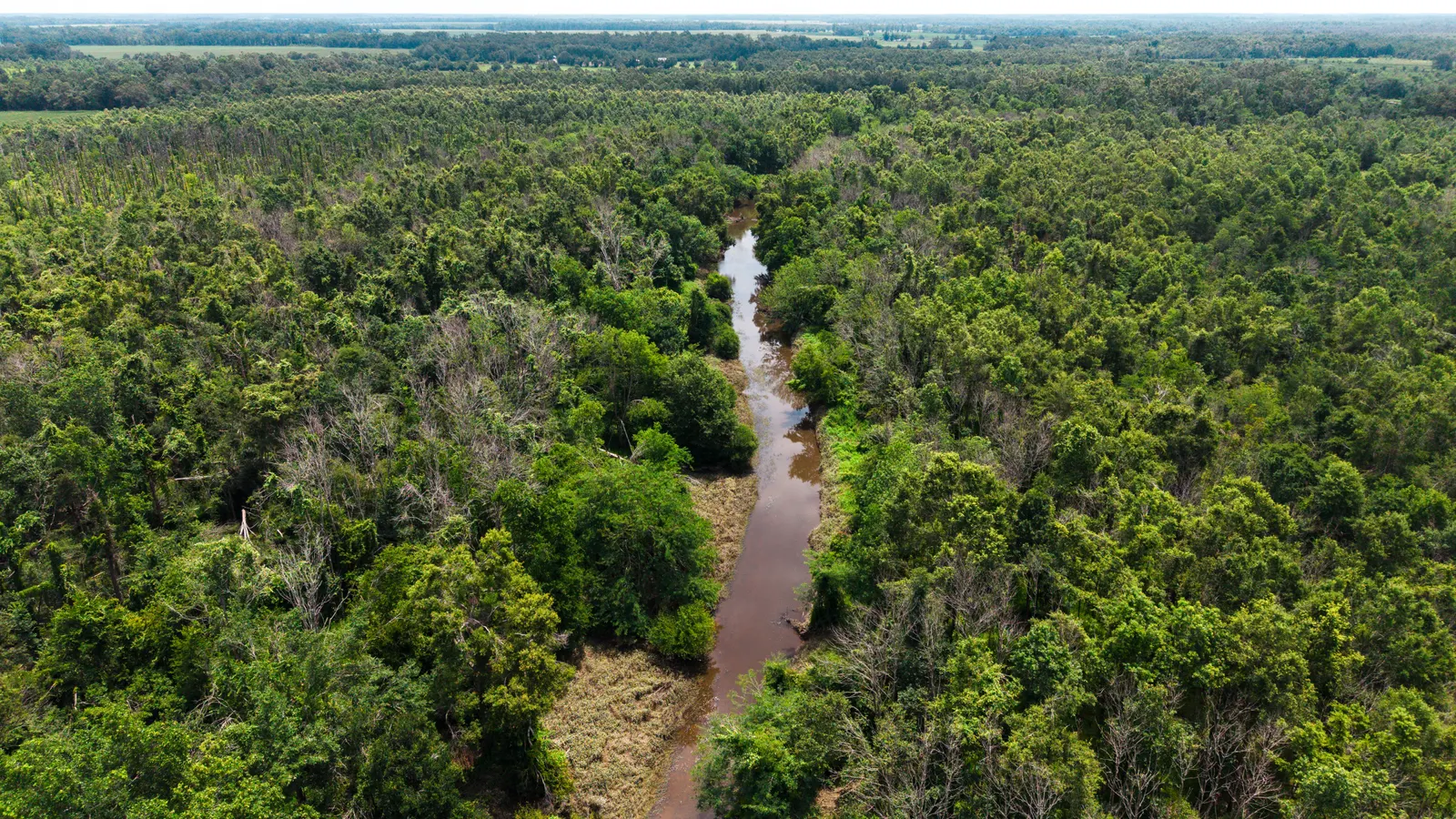Big Creek 70 – Wildlife Habitat Property with Live Water in West Carroll Parish, LA