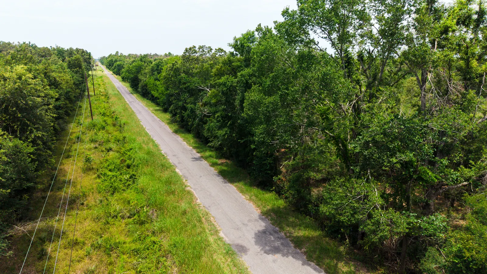 Big Creek 70 – Wildlife Habitat Property with Live Water in West Carroll Parish, LA