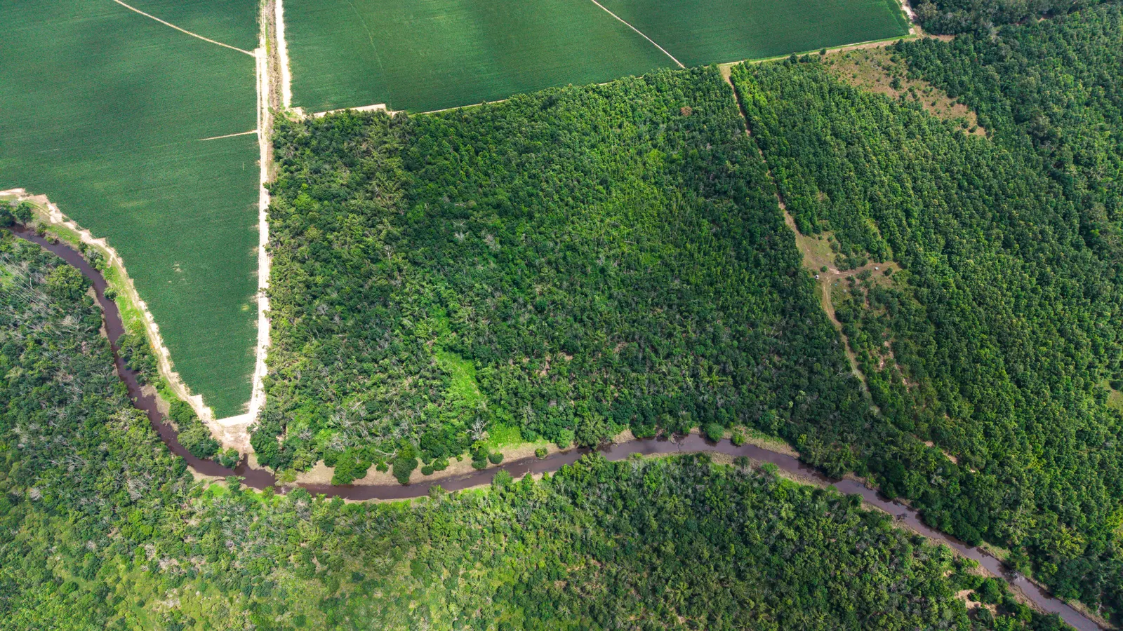 Big Creek 70 – Wildlife Habitat Property with Live Water in West Carroll Parish, LA