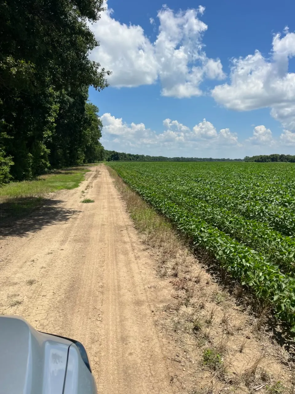 Tensas 80 – Productive Delta Farmland and Investment Opportunity in Tensas Parish, LA