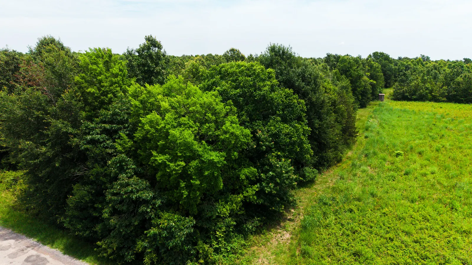 Watts Road 80 – Recreational & Timber Investment Land in West Carroll Parish, LA