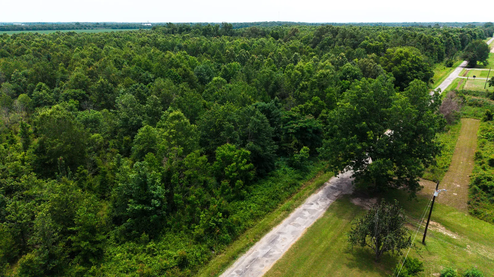 Watts Road 80 – Recreational & Timber Investment Land in West Carroll Parish, LA