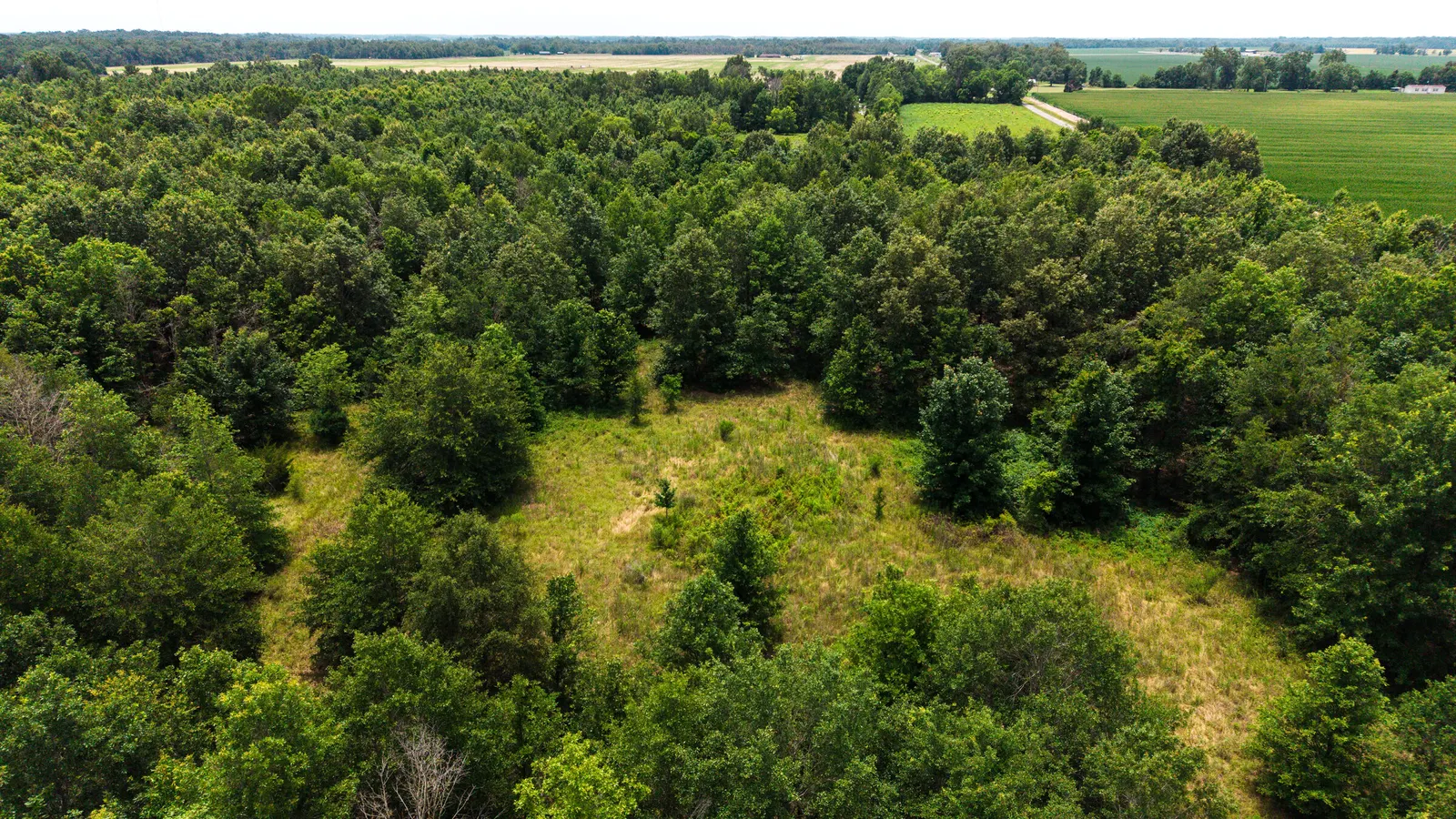 Watts Road 80 – Recreational & Timber Investment Land in West Carroll Parish, LA